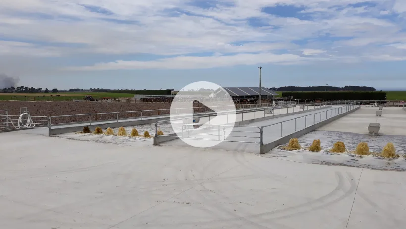 effluent-flood-wash