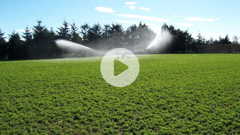 irrigator-water-lp25w