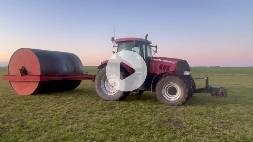 land-roller-turley-farms-extra-large