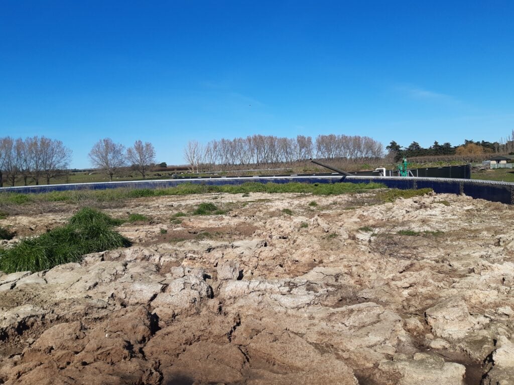 Dry cracked paddock soil on a Canterbury dairy farm showing compaction and moisture stress