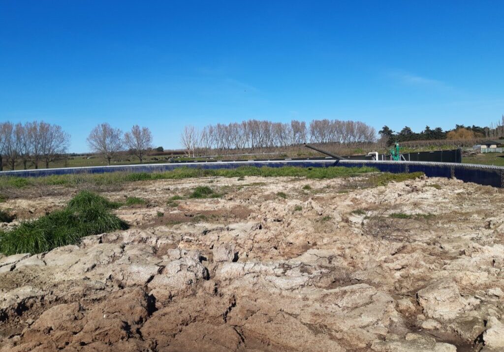 Dry cracked paddock soil on a Canterbury dairy farm showing compaction and moisture stress