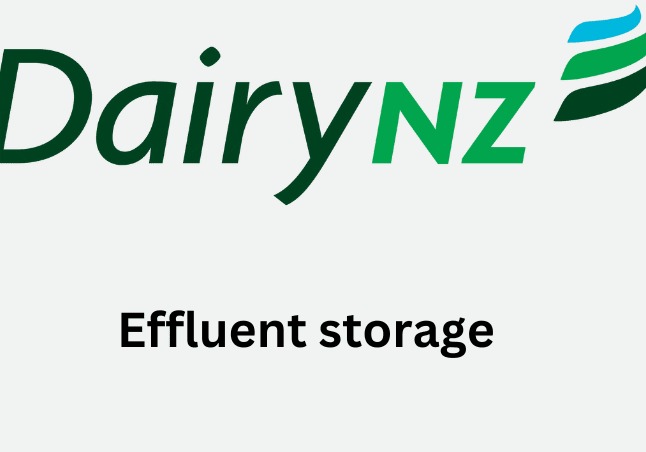 Dairy NZ